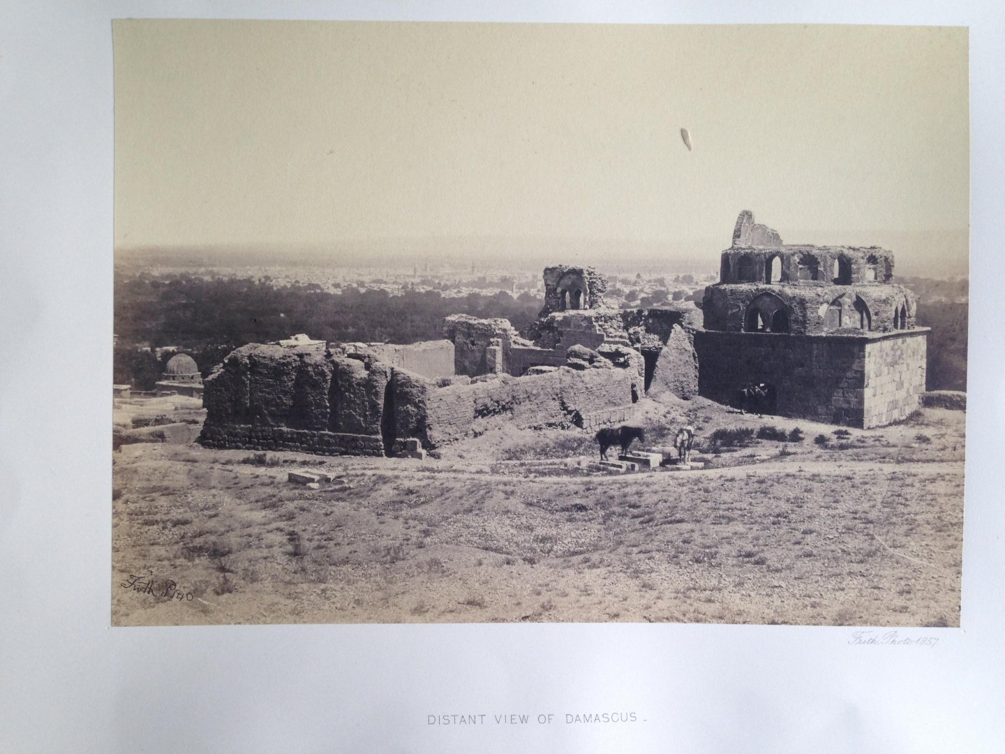 Frith, Francis - Distant view of Damascus, Series Egypt and Palestine