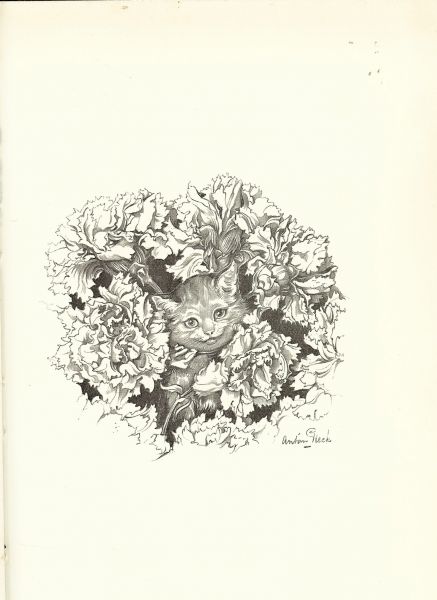 Lannoy, Maria de en illustraties van Pieck, Anton - Het droomhuis