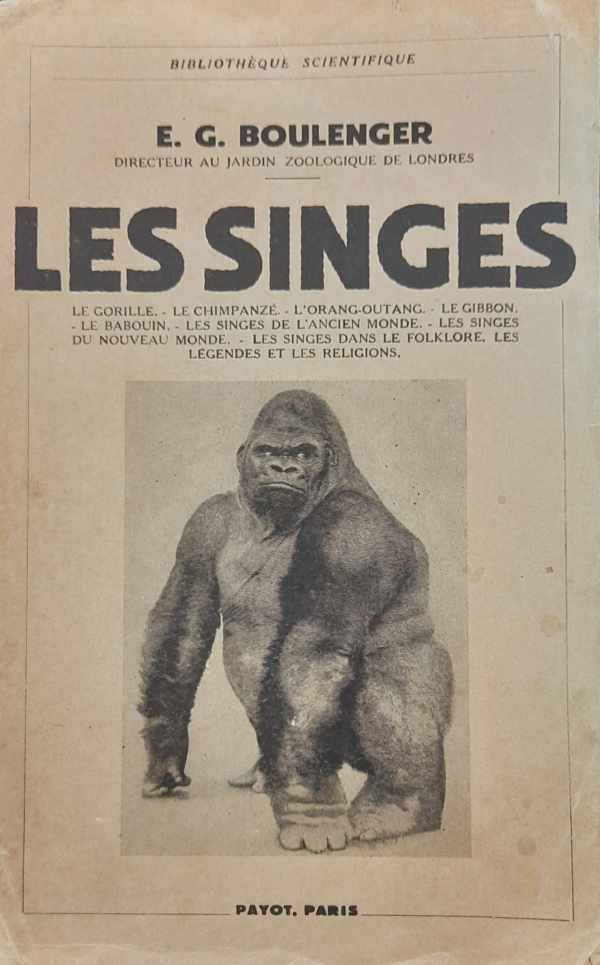 BOULENGER E.G. (directeur ZOO Londres) - Les Singes