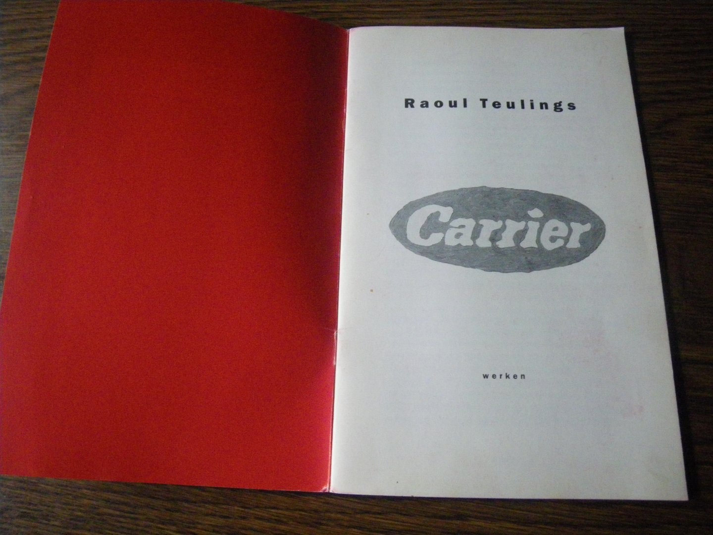 Raoul Teulings tekst Schaap Marjolein - raoul teulings Carrier werken