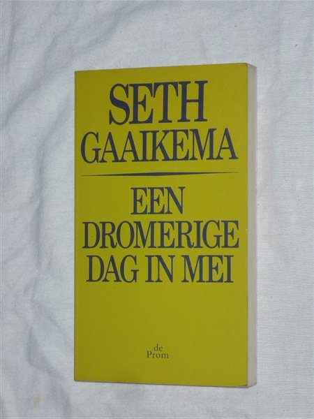 Gaaikema, Seth - Een dromerige dag in mei