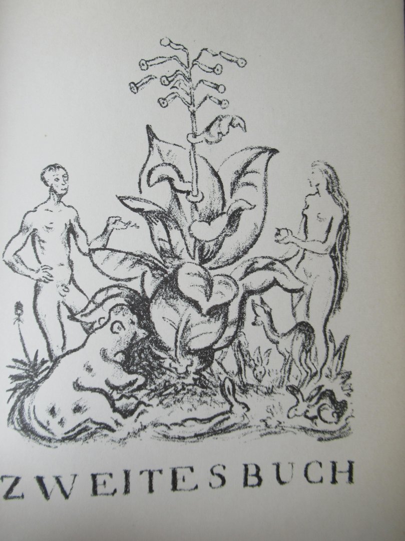 Jammes, Francis - Der Hasenroman