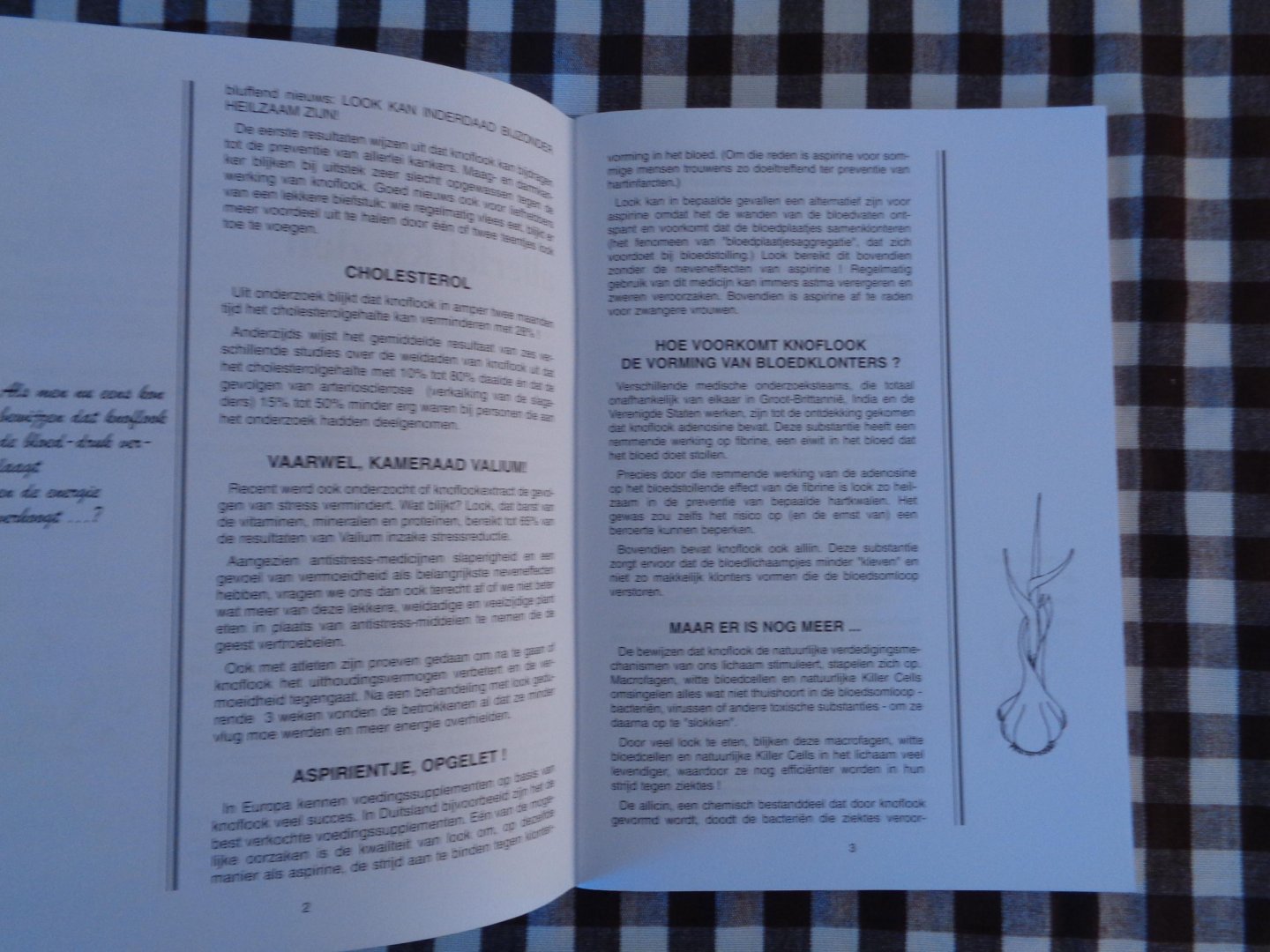 emily thacker - het grote lookboek