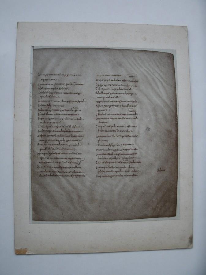 foto. photograph. - Photograph of Cicero De Divinatione LICXIV. Later carolingian manuscript 11/12th century. (J. Goedeljee).