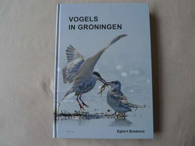 Boekema, Egbert - Vogels in Groningen