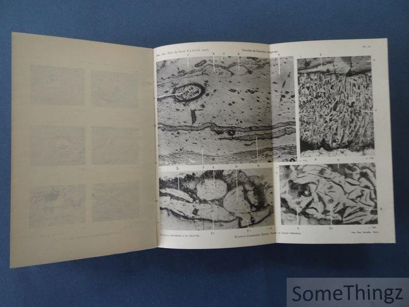 Coll. / Société Géologique du Nord. - Société géologique du nord. Annales LXXIII 1953.