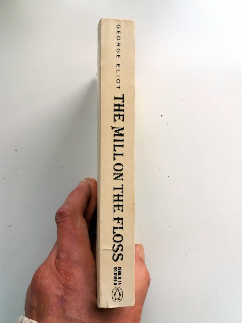 Eliot, George - The Mill on the Floss (Ex.2) (ENGELSTALIG)