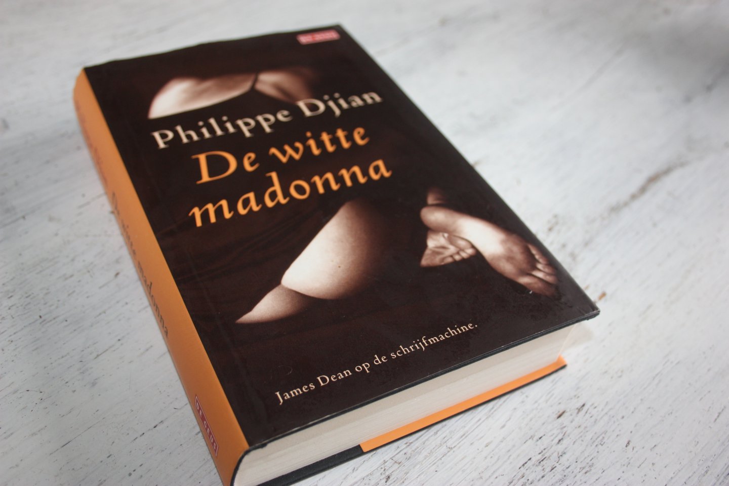 Djian, Philippe - De witte madonna