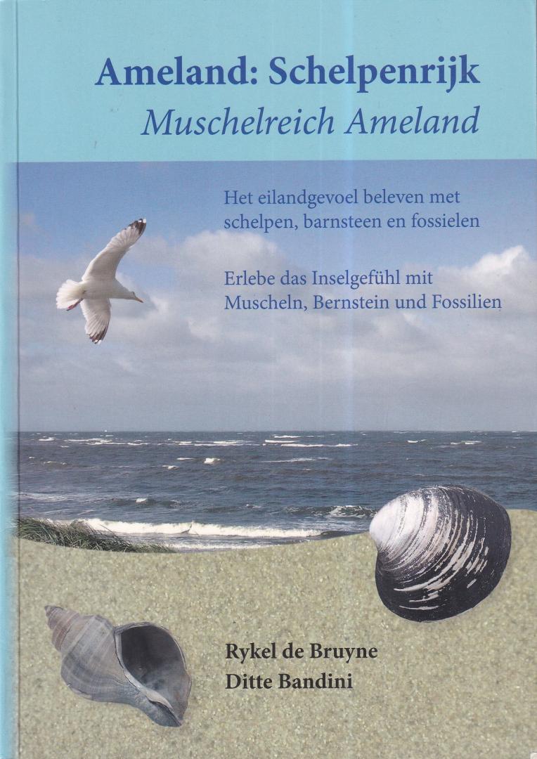 Bruyne, Rykel de & Bandini, Ditte - Ameland: Schelpenrijk - beleef het eilandgevoel met schelpen, barnsteen en fossielen; erlebe das Inselgefuehl mit Muscheln, Bernstein und Fossilien