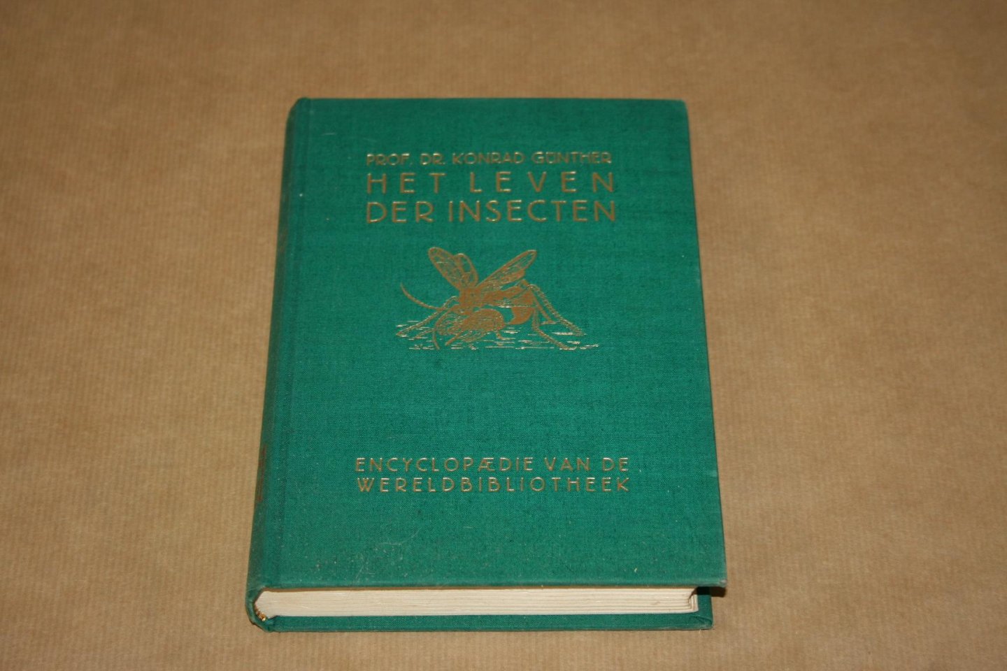 Prof. Dr. K. Günther - Het leven der insecten