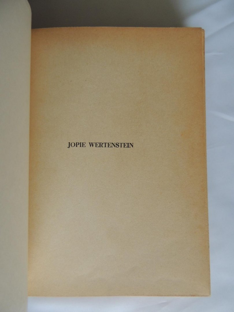 Hendrina Johanna Maria Wolffenbuttel - Van Rooijen - Jopie Wertenstein, een kostschoolverhaal.