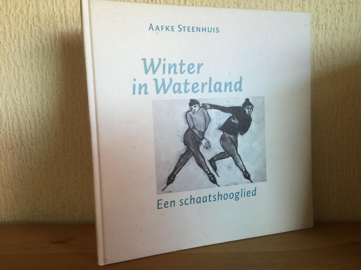 Aafke Steenhuis - Winter in Waterland