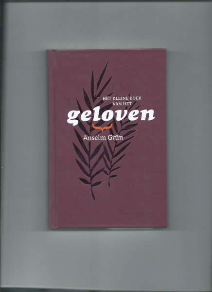 Grün, Anselm - Het kleine boek van het geloven