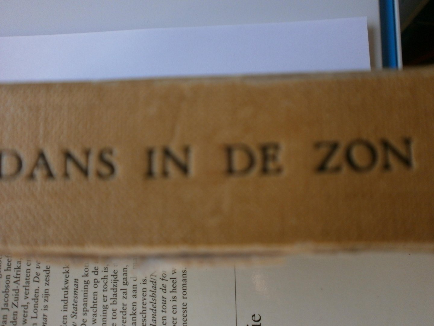Jacobson, Dan - Een dans in de zon