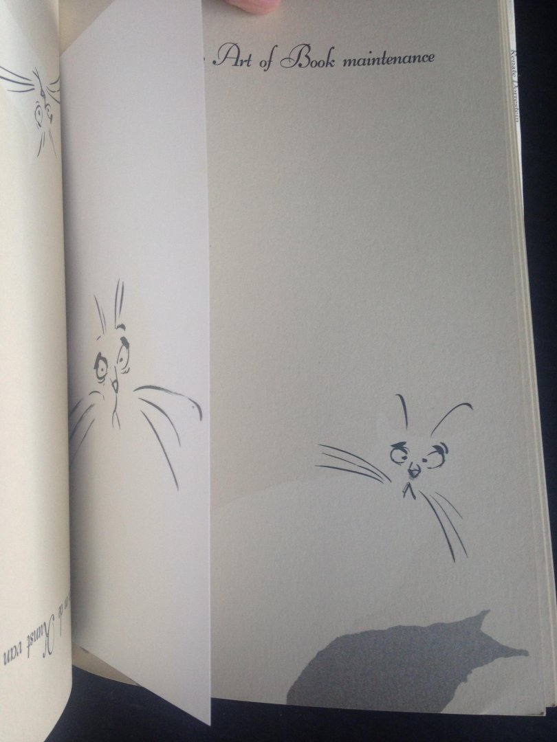 Dorrestein, Renate - Katten en de Kunst van het Boekenonderhoud, Cats and the Art of Book maintenance