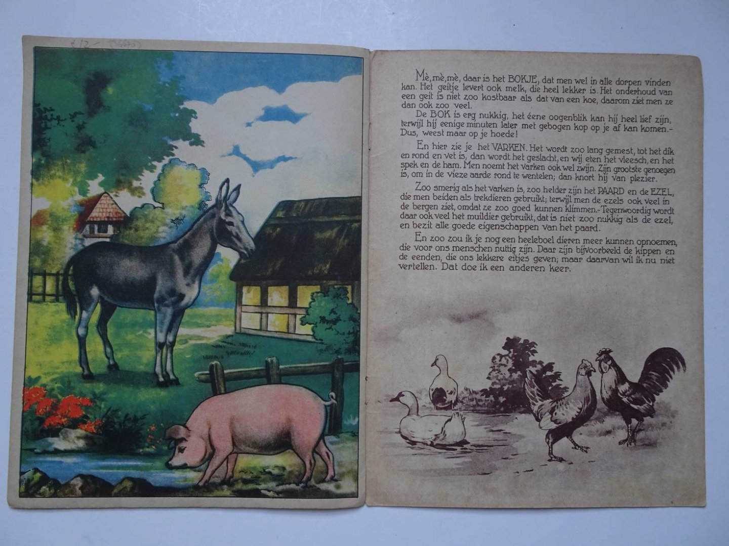 N.n.. - Uit het Dierenrijk.