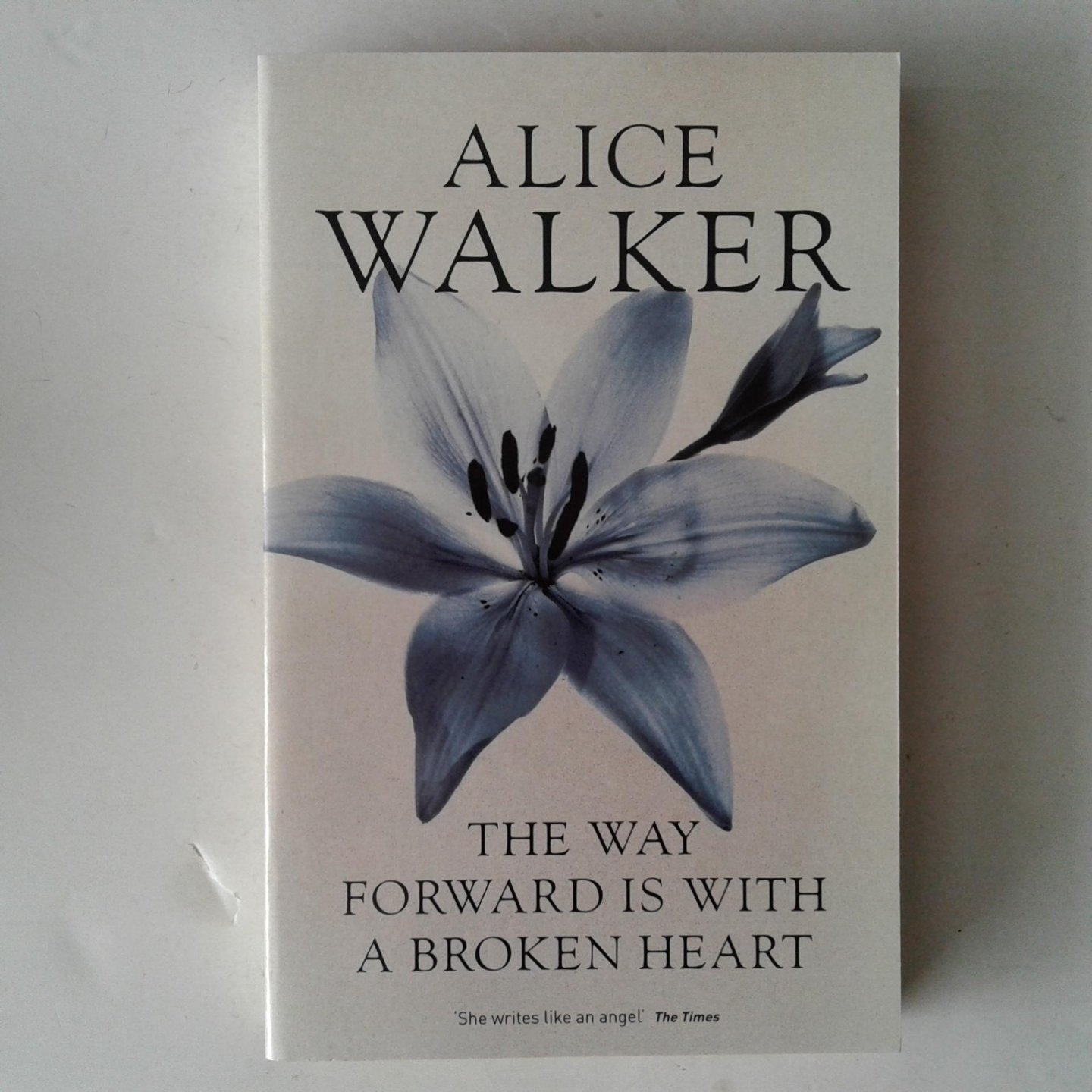 Walker, Alice - The Way Forward is with a Broken Heart