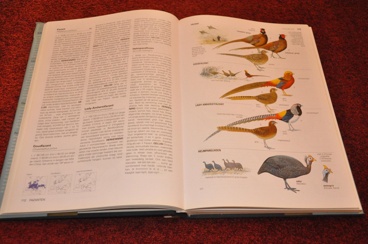 Mullarney, Killian / Svensson, Lars / Zetterström, Dan / Grant, Peter J. - Europese vogels ( De GROTE versie ). Alle vogels van Europa, Noord-Afrika en het Midden-Oosten
