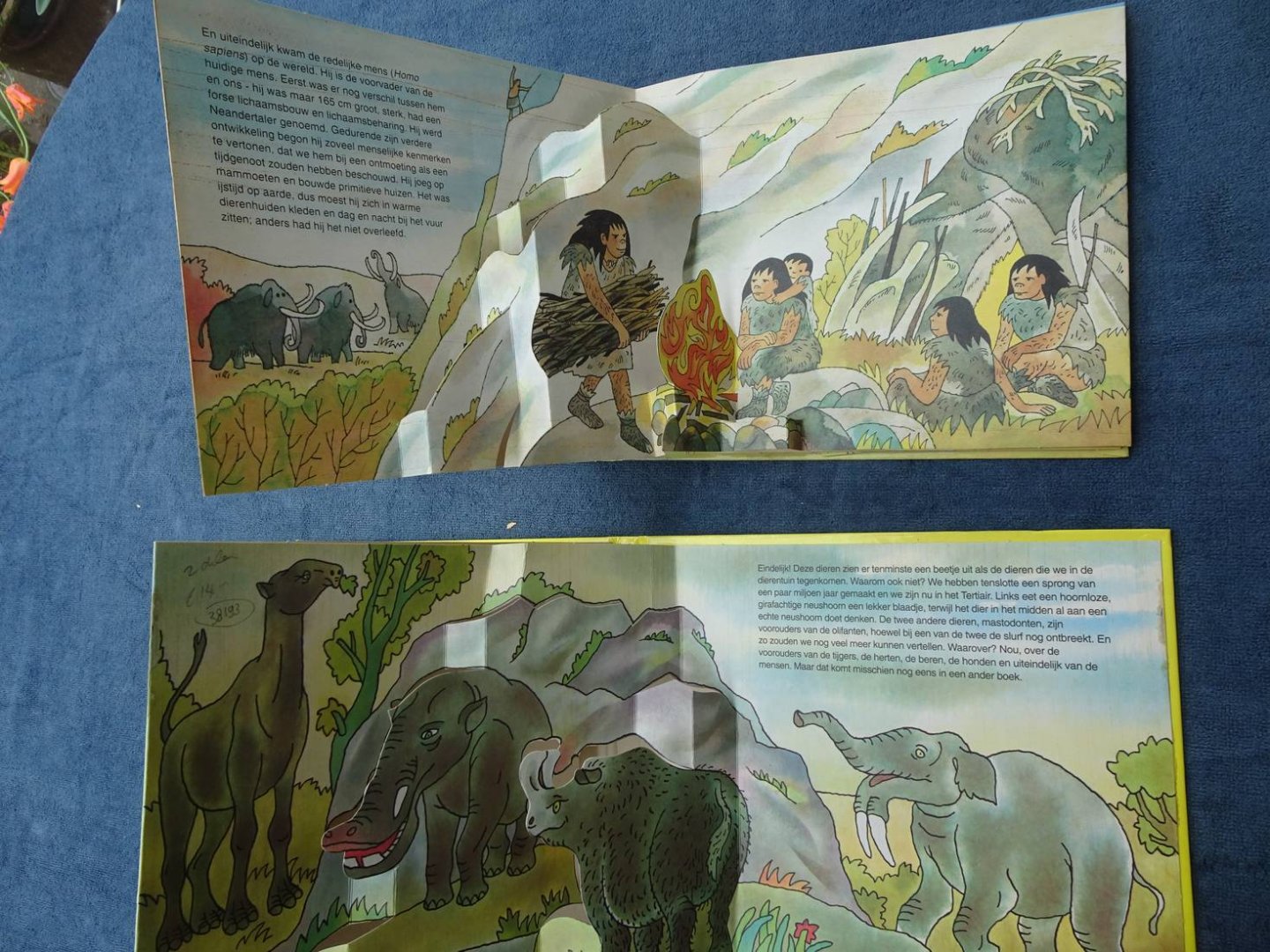 Sed'a, Gustav. - Dieren uit de Oertijd/ Mensen uit de Oertijd. 2 pop-up boeken.