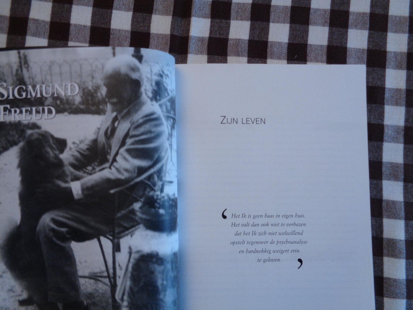 jaen paul  mulders - sigmund freud ,