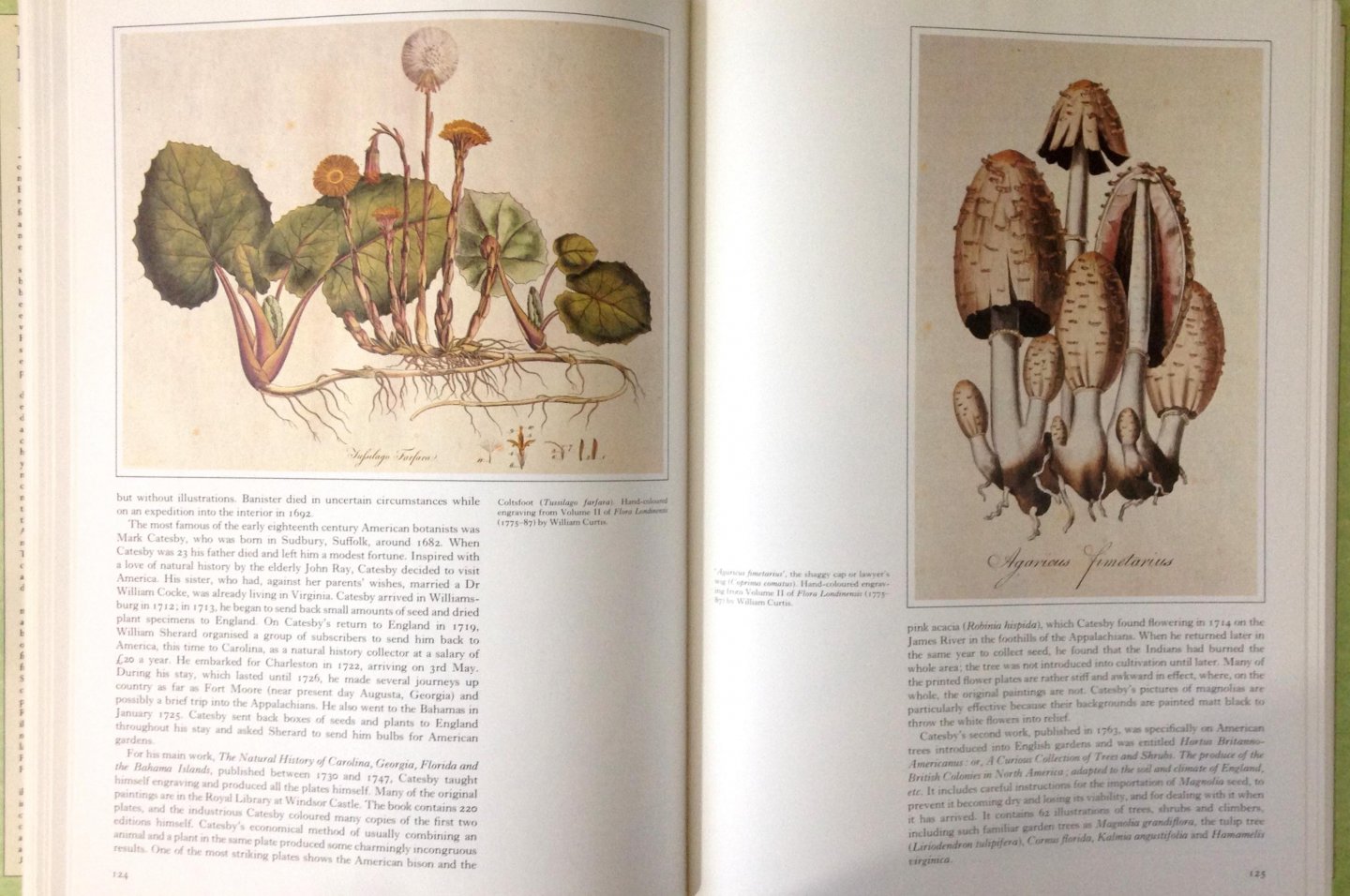 Rix, Martyn - The Art of Botanical Illustration