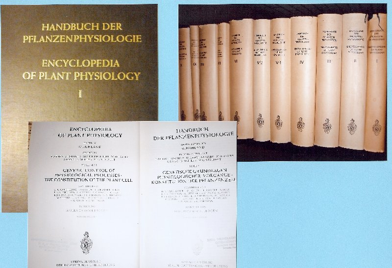  - Handbuch der pflanzen physiologie