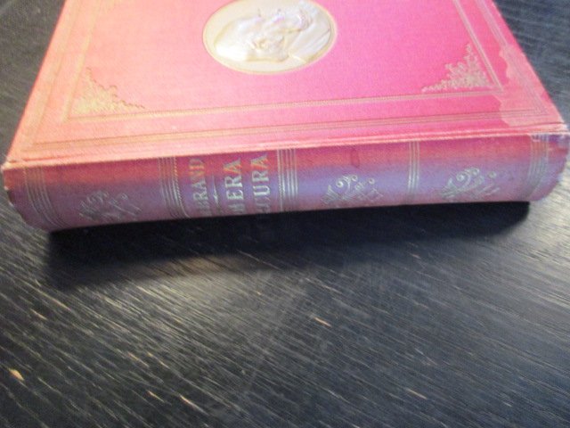 Hildebrand - Camera Obscura, 25e druk