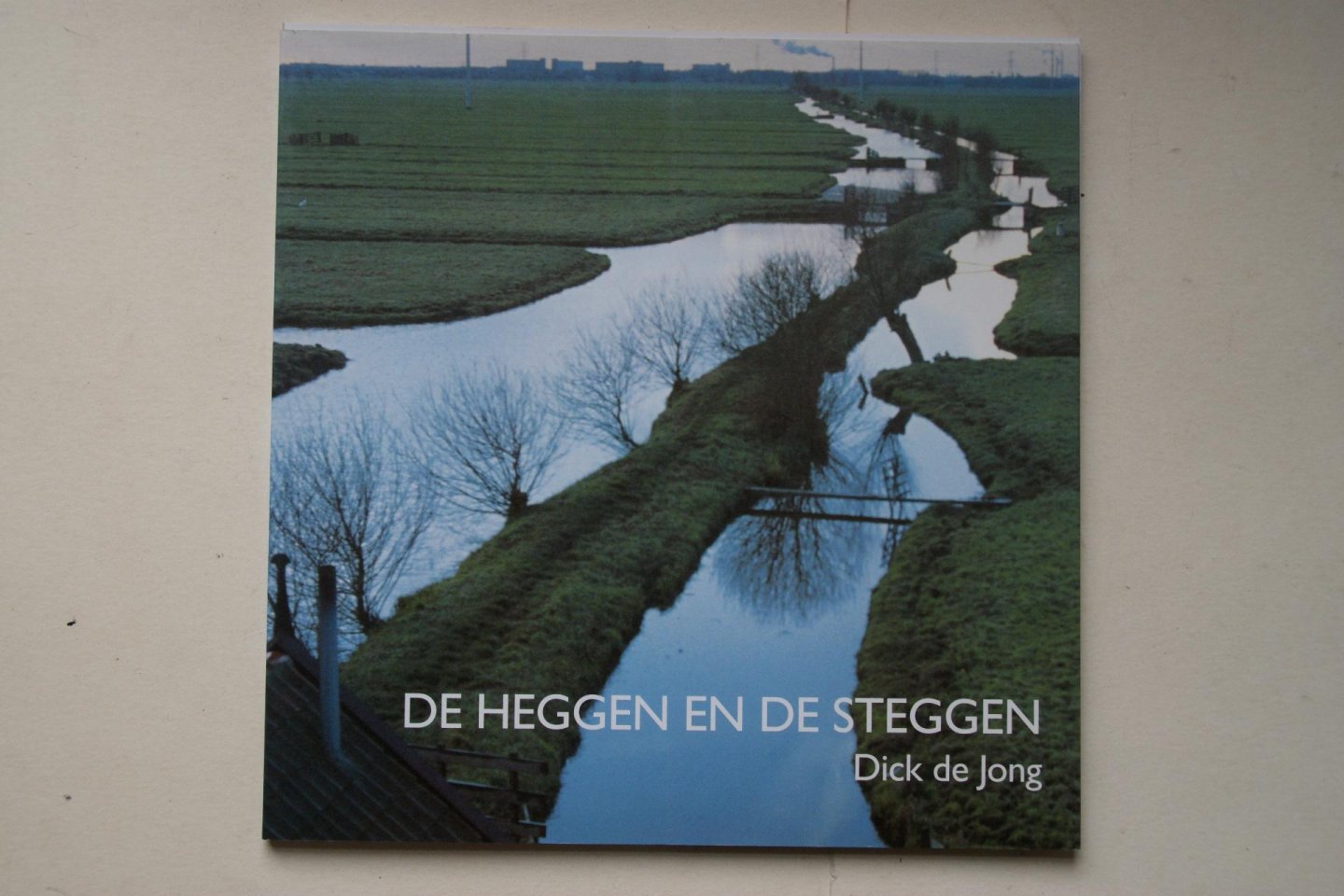 Dick de Jong - de Heggen en de Steggen  straatnamenboek van Hardinxveld-Giessendam