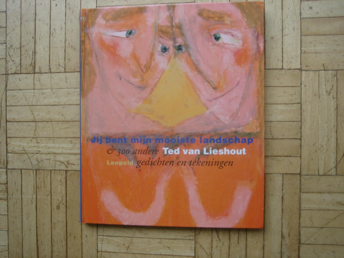 Ted van Lieshout - Jij bent mijn mooiste landschap / & 300 andere gedichten en tekeningen