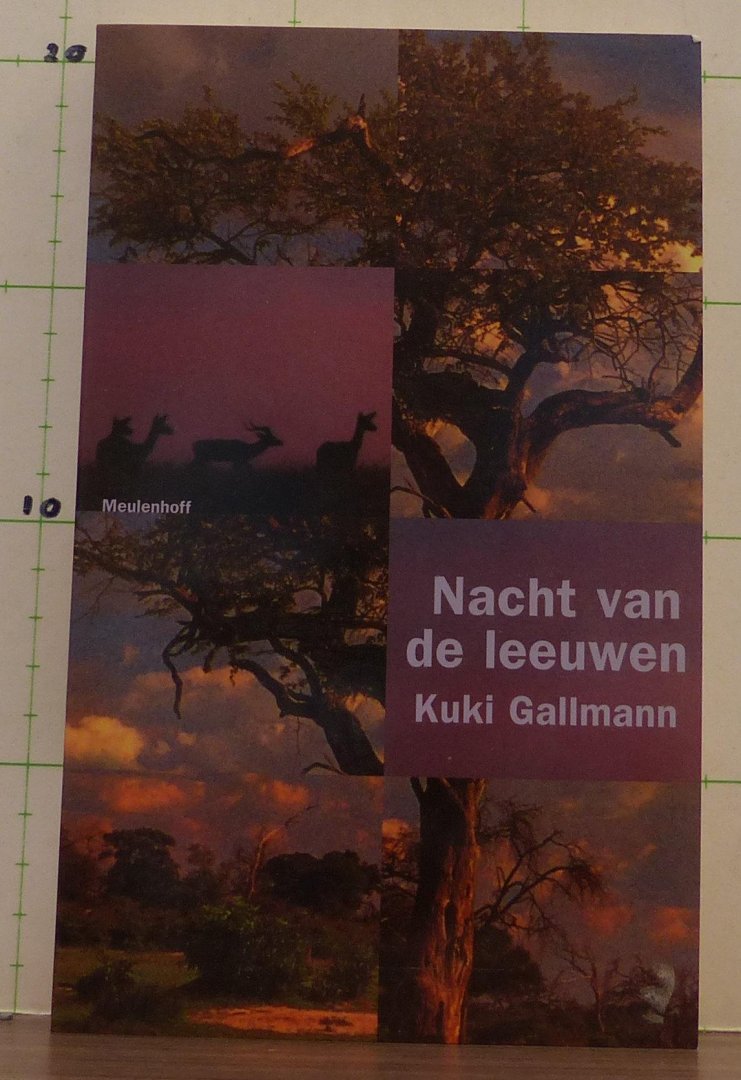 Gallmann, Kuki - Nacht van de leeuwen