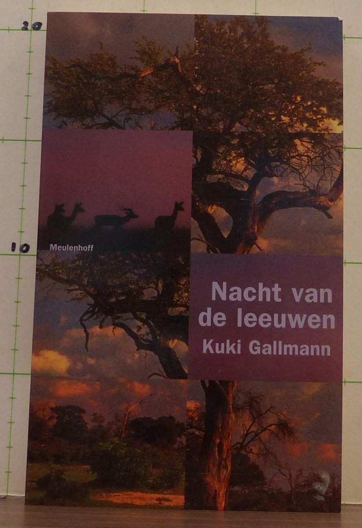 Gallmann, Kuki - nacht van de leeuwen