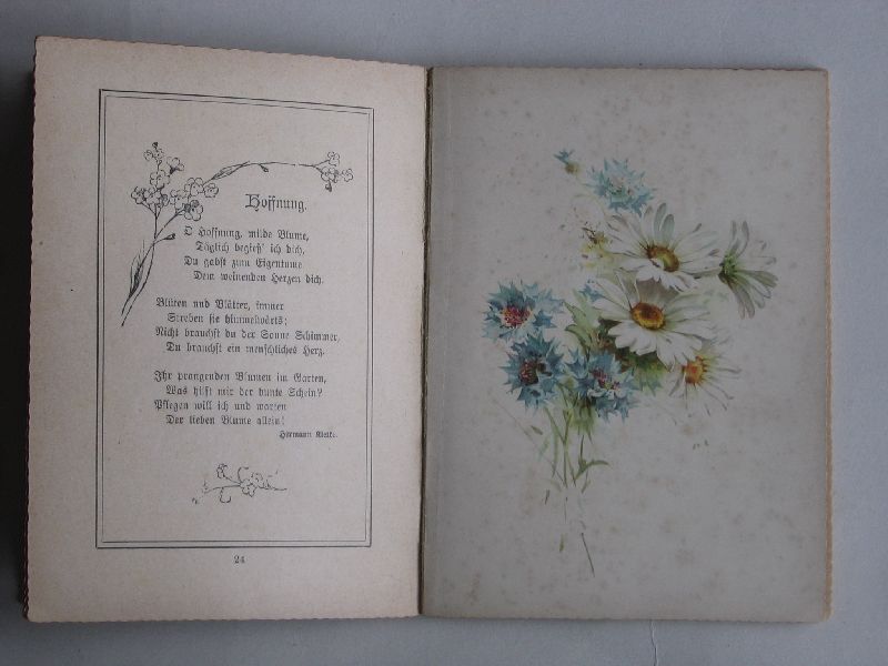 Krüger, Helene - Leitsterne, Gedichtsammlung