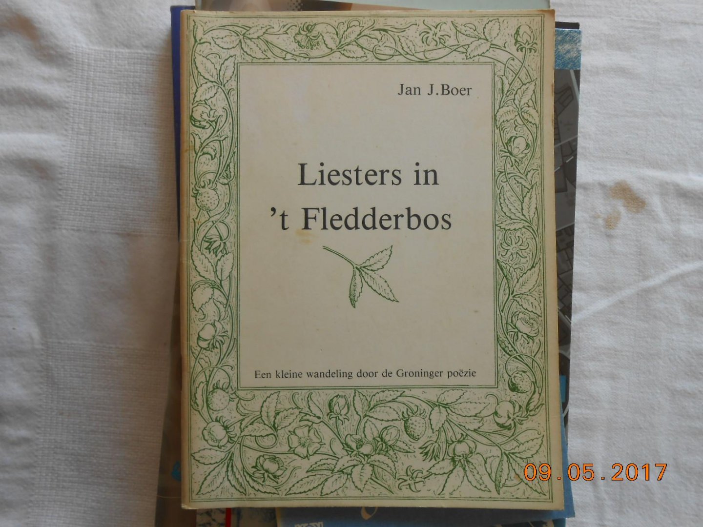 Boer, J.J. - Liesters in t fledderbos / druk 1