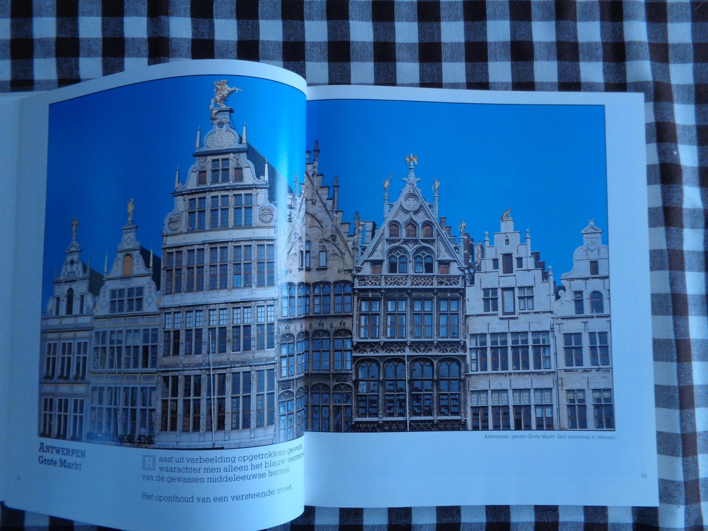 anton van wilderode-jan decreton - het sierlijke bestaan van steden