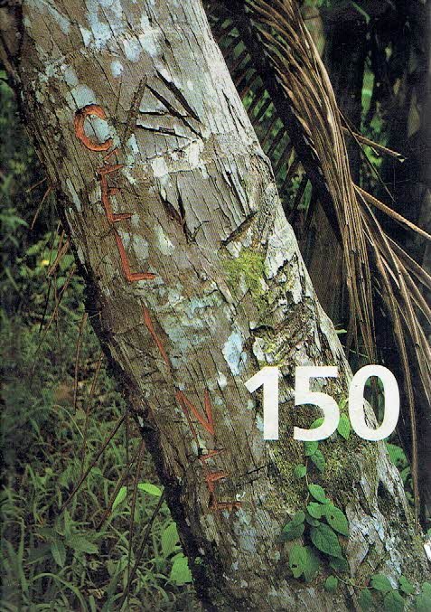 VILLEVOYE, Roy - Roy Villevoye - 150.