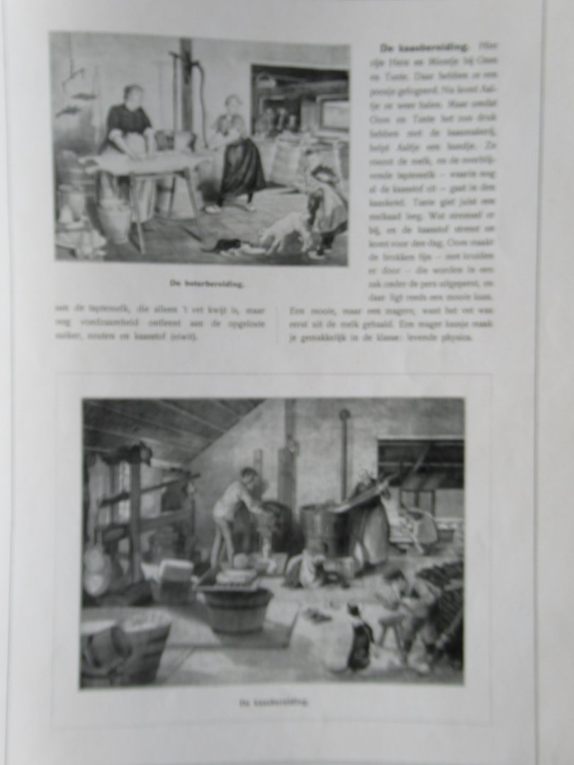 Diverse auteurs - Nederlandsche schoolplaten