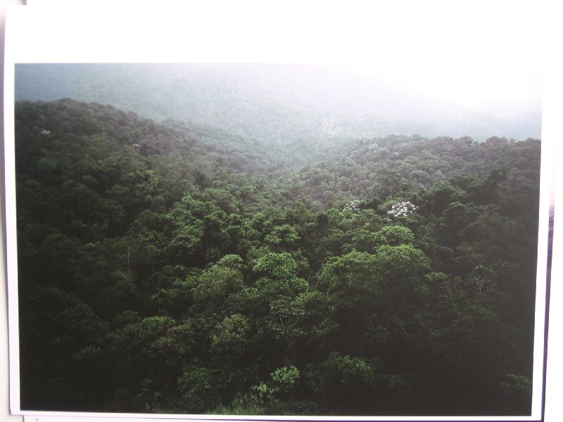 Reisewitz, Caio - Caio Reisewitz, fotografie
