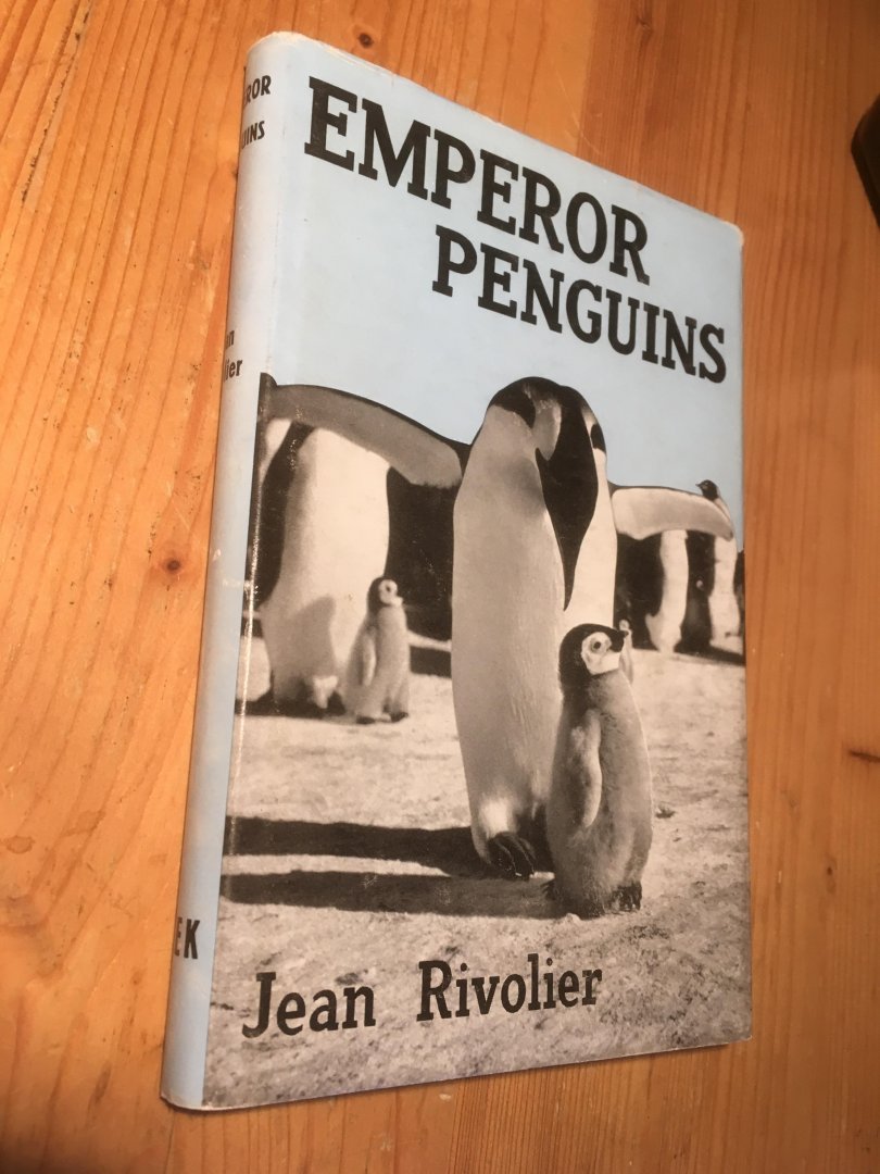 Rivolier, Jean - Emperor Penguins