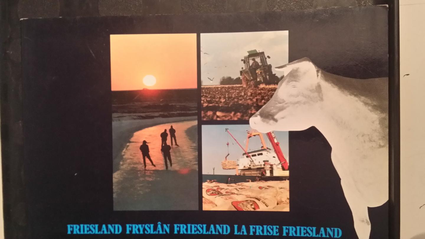  - Friesland / Fryslan / La Frise. 5-talig.