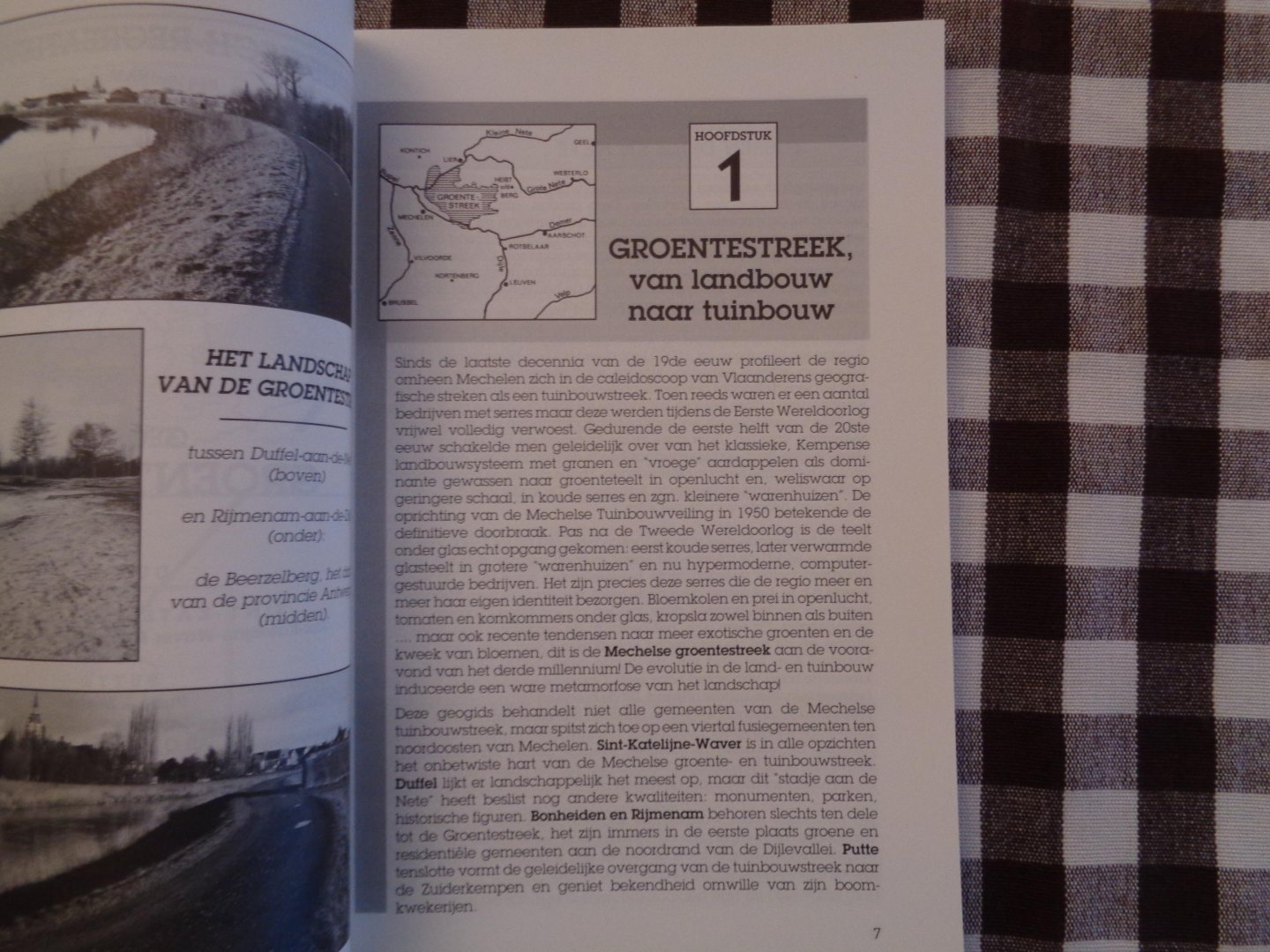 Diriken - Geogids groentestreek /