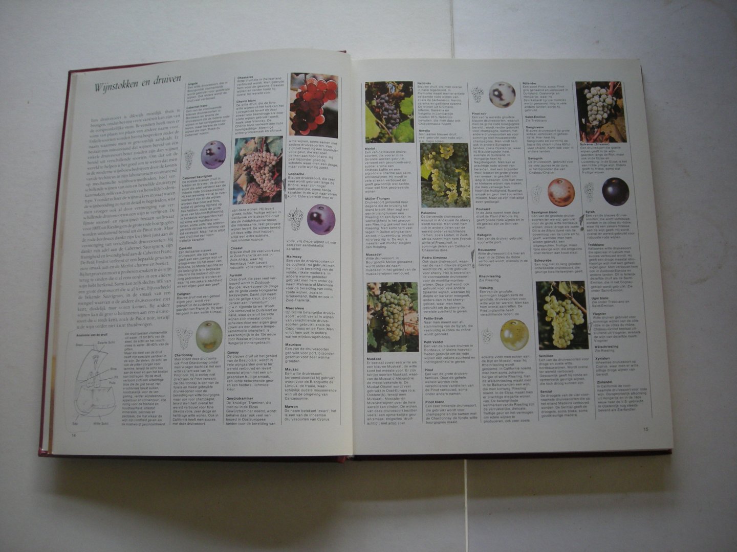 Price, Pamela Vandyke / Born. Han, Born, Wina en anderen, vert. - Elseviers grote wijnboek (The Taste of Wine).