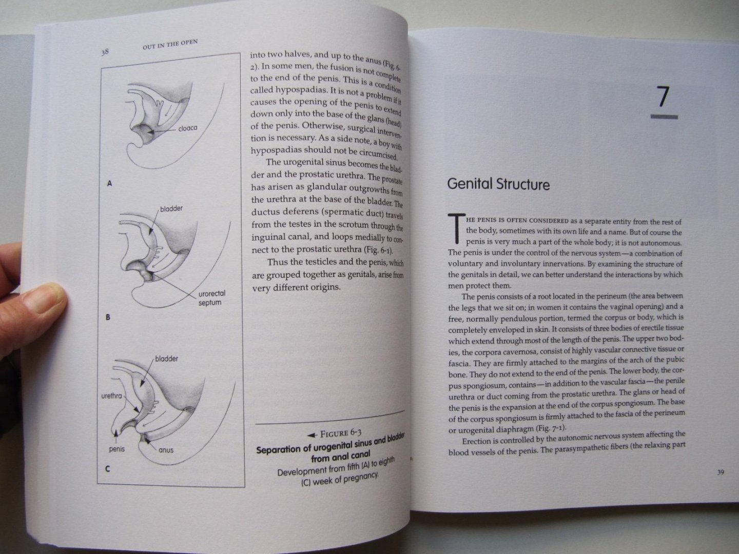 R. Louis Schultz - Out in the open - The complete male pelvis