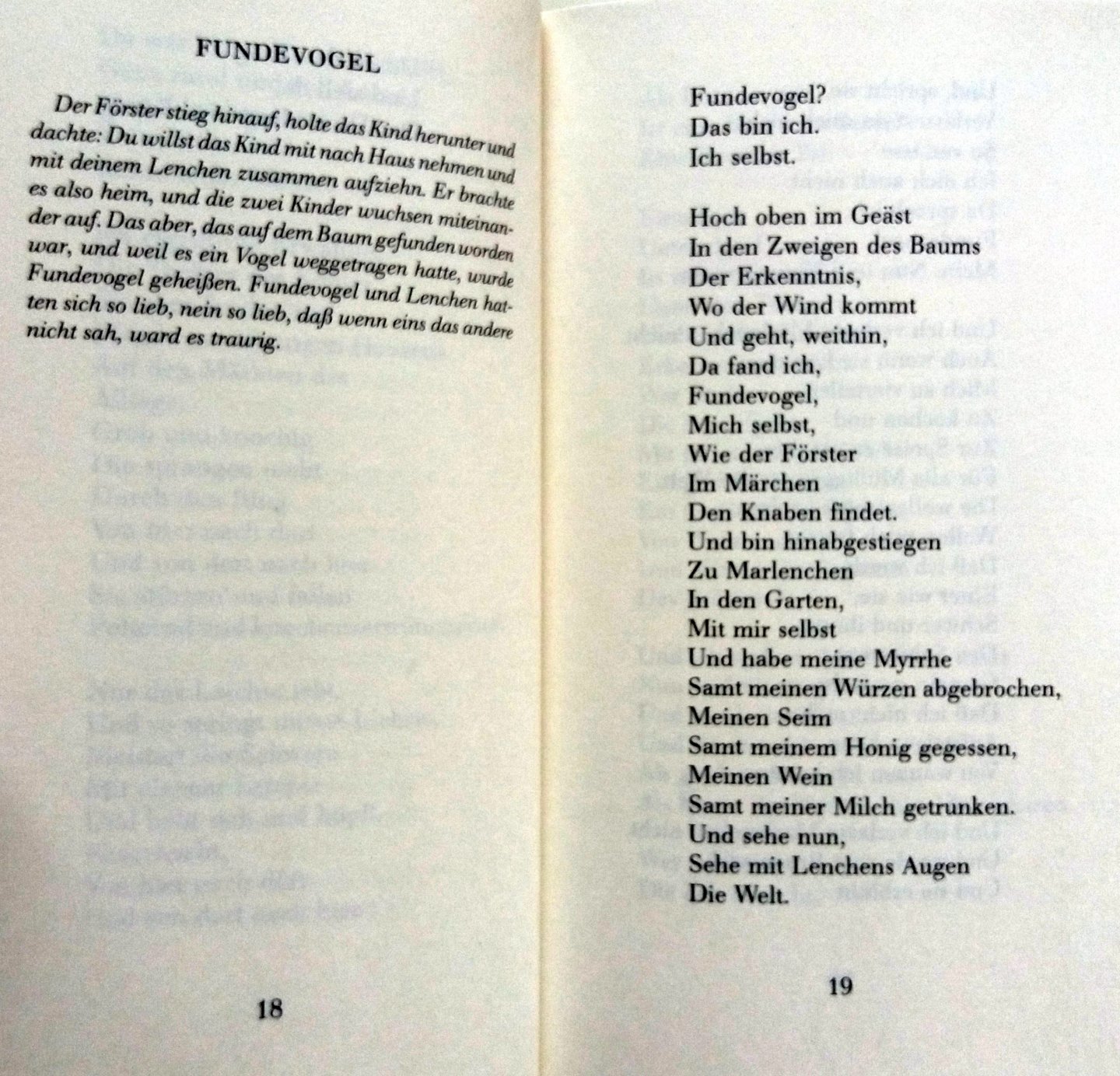 Lange, Günther - Fundevogel (das bin ich selbst) (DUITSTALIG)