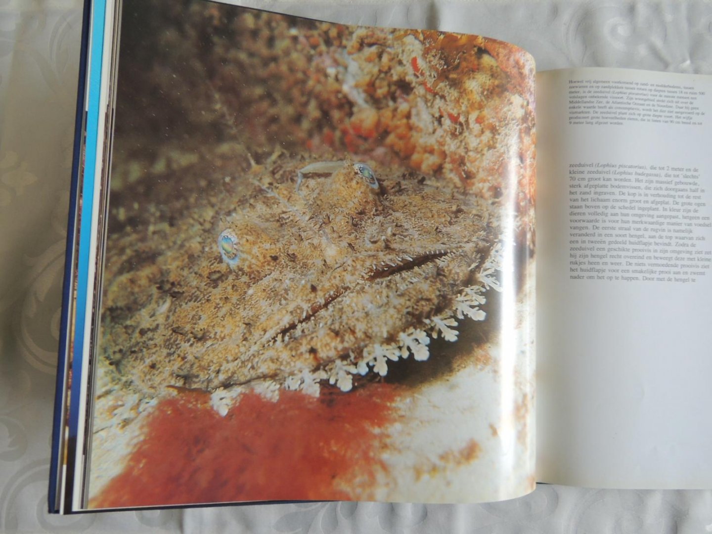 Carl Roessler - graaf frank de - The Underwater Wilderness: Life Around the Great Reefs - Leven onder Water, van frank de graaf GRATIS ERBIJ