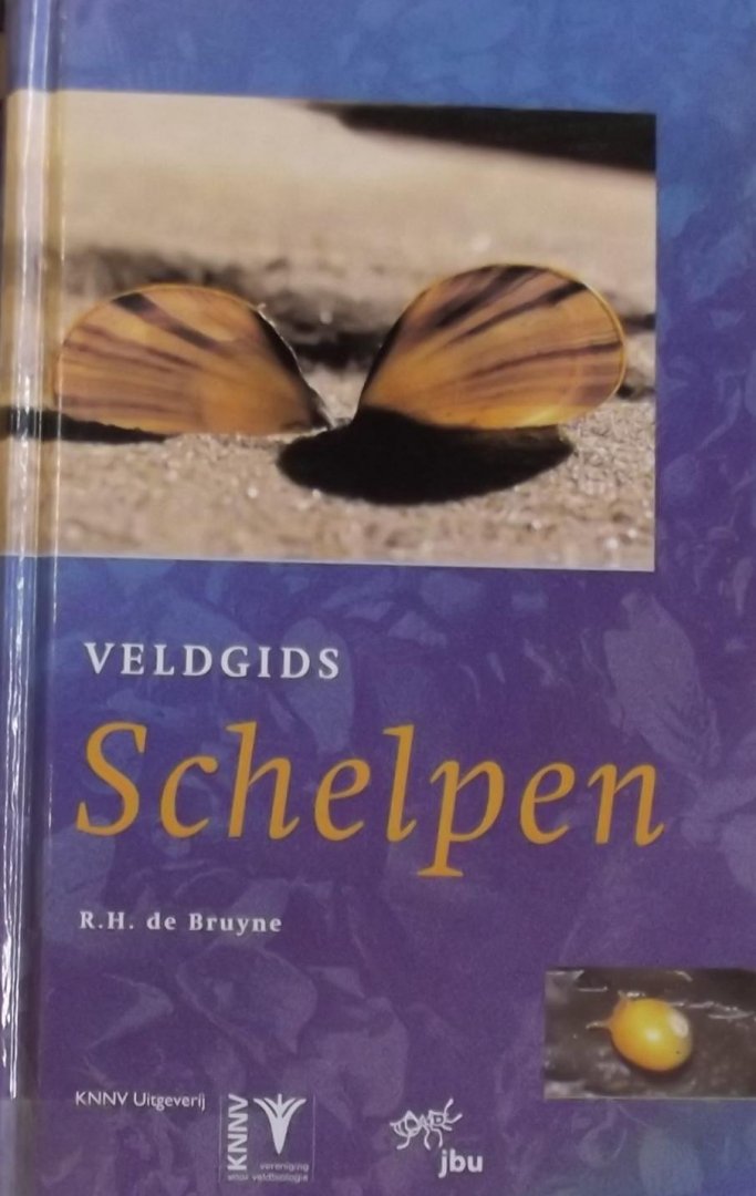 R.H. de Bruyne - Veldgids schelpen