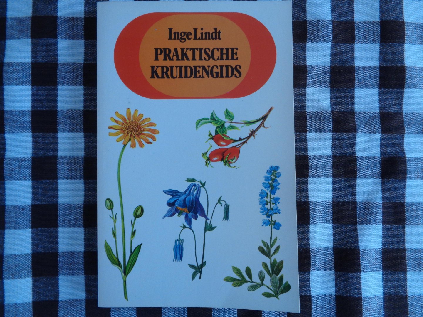 inge lindt - Praktische kruidengids / druk 1