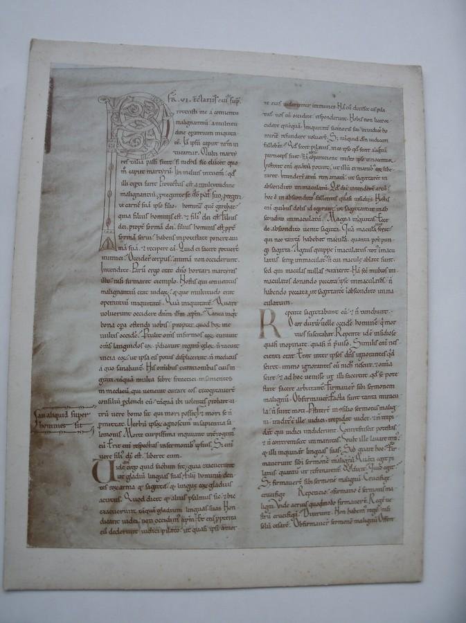 foto. photograph. - Photograph of Augustinus in psalmos, manuscript 12th century. Psalm LXIII. (J. Goedeljee).