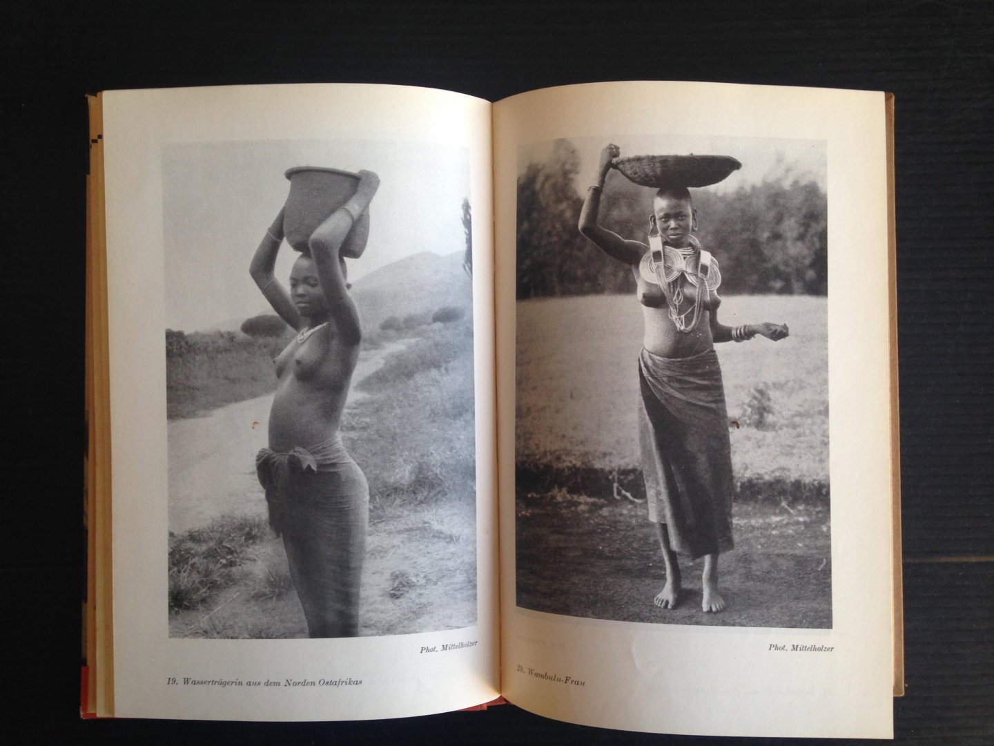 Gehrts Schomburgh, Meg - Negertypen des schwarzen Erdteils