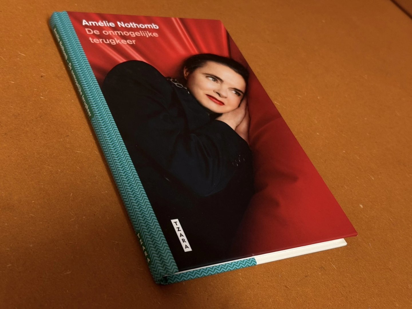 Amelie Nothomb; Marijke Arijs (vertaling) - De onmogelijke terugkeer