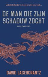 De man die zijn schaduw zocht